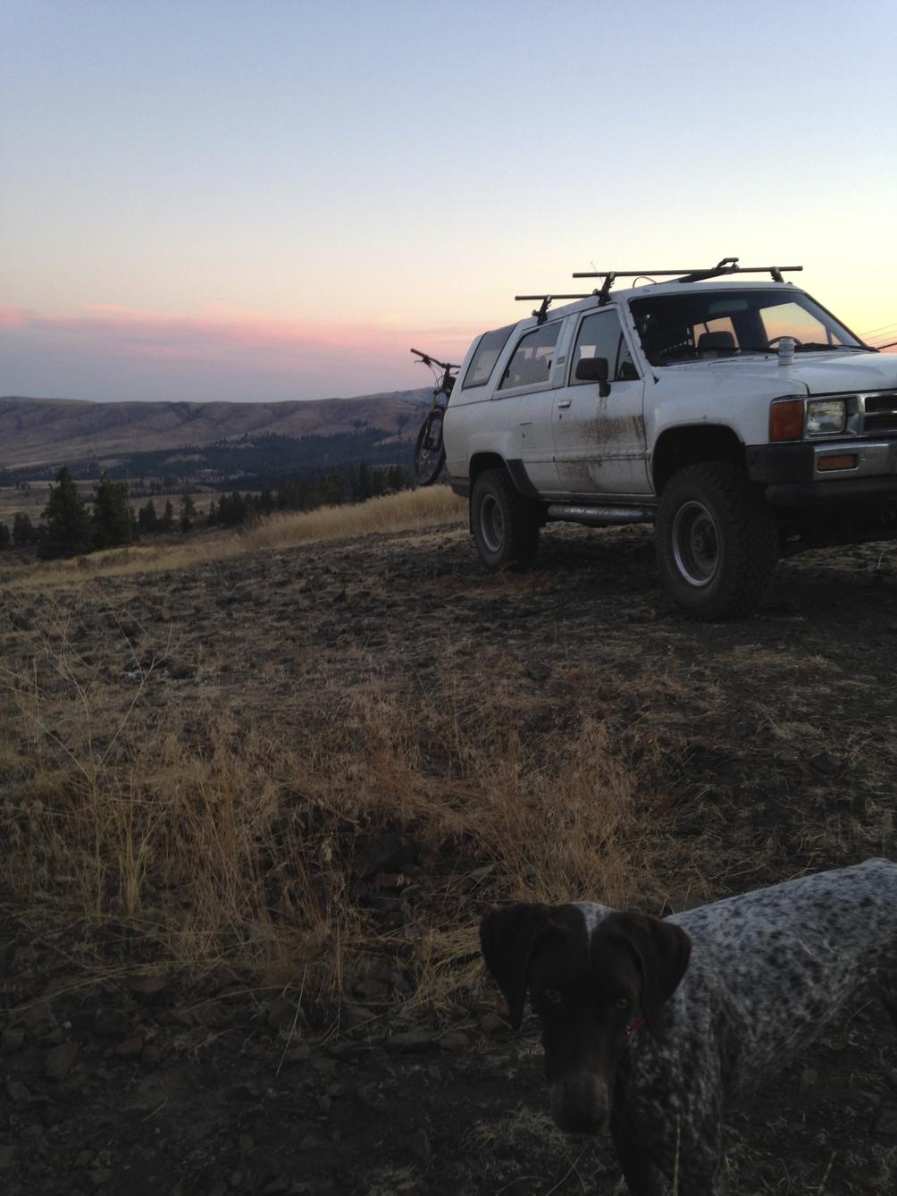 Truckee, CA- possibly moving need advice-img_1915-jpg