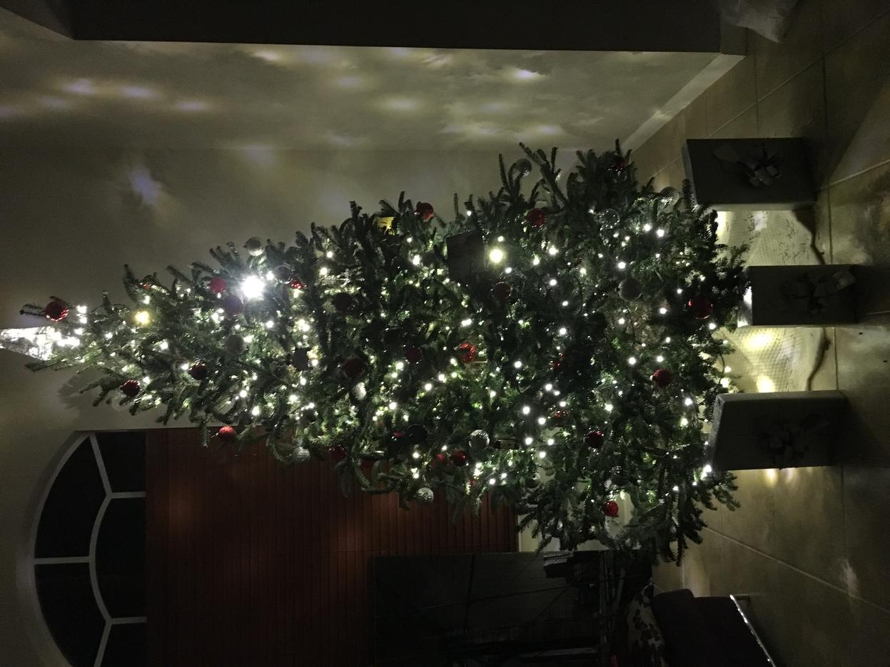 Show Off Your Christmas Tree!-img_9533-jpg