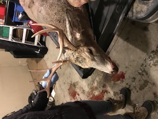 2019 Hunting season-deer4-jpg