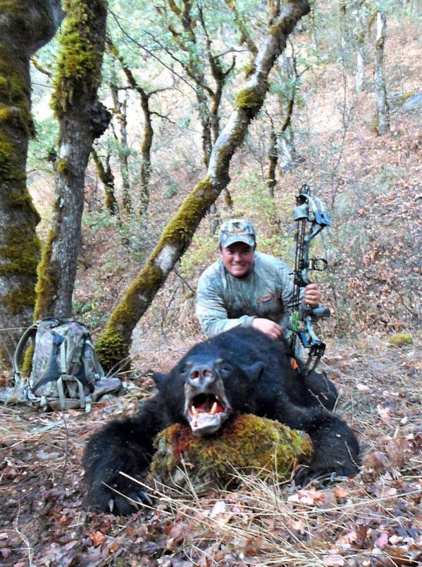 Official T4R &quot;Firearms&quot; thread-2013-20inch-archery-bear-jpg