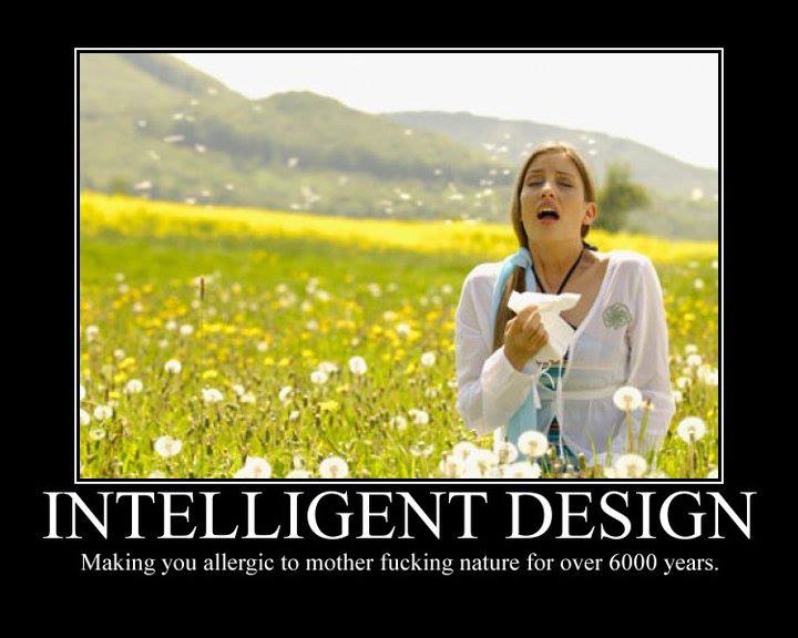 Random picture post thread-1150821_528293953905231_365875610_n-jpg