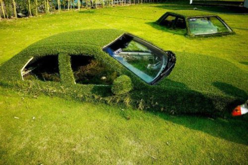 Random picture post thread-3-jpg