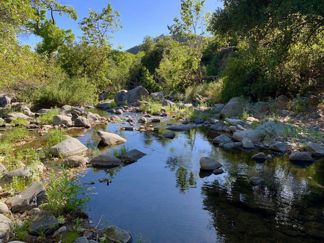 Upper Santa Ysabel Trail - Sun 6/9-img_7289-jpg