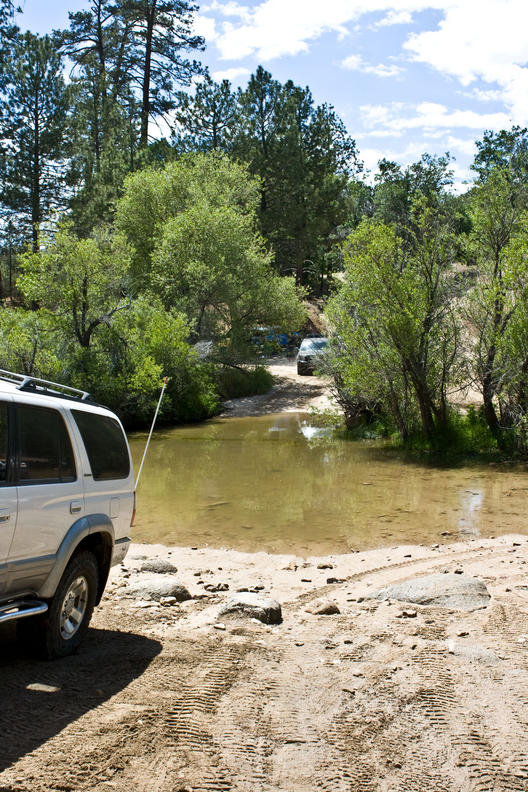 SoCal T4R - San Bernardino Mts. 6/13/10-img_1358-jpg