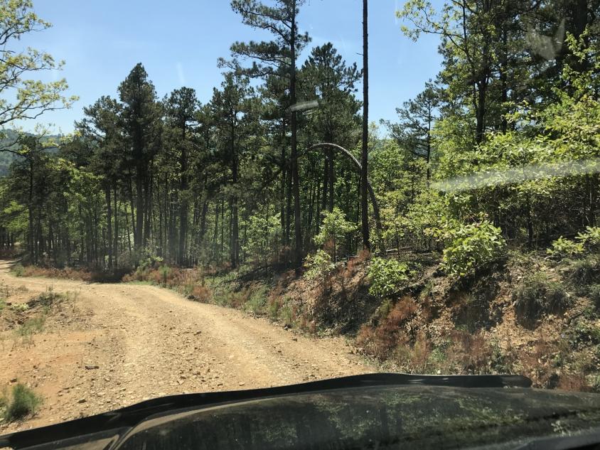 Offroad Trails near Broken Bow Lake-2019-04-20-13-38-39-jpg