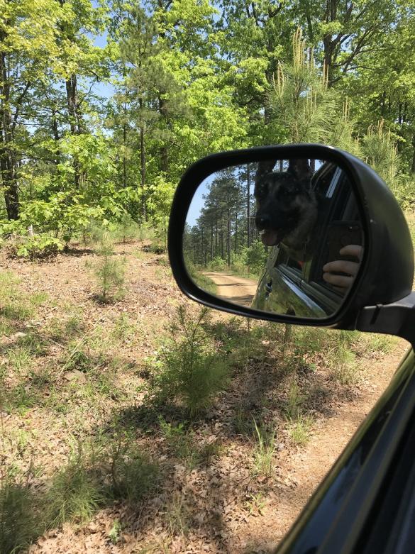 Offroad Trails near Broken Bow Lake-2019-04-20-13-53-53-jpg