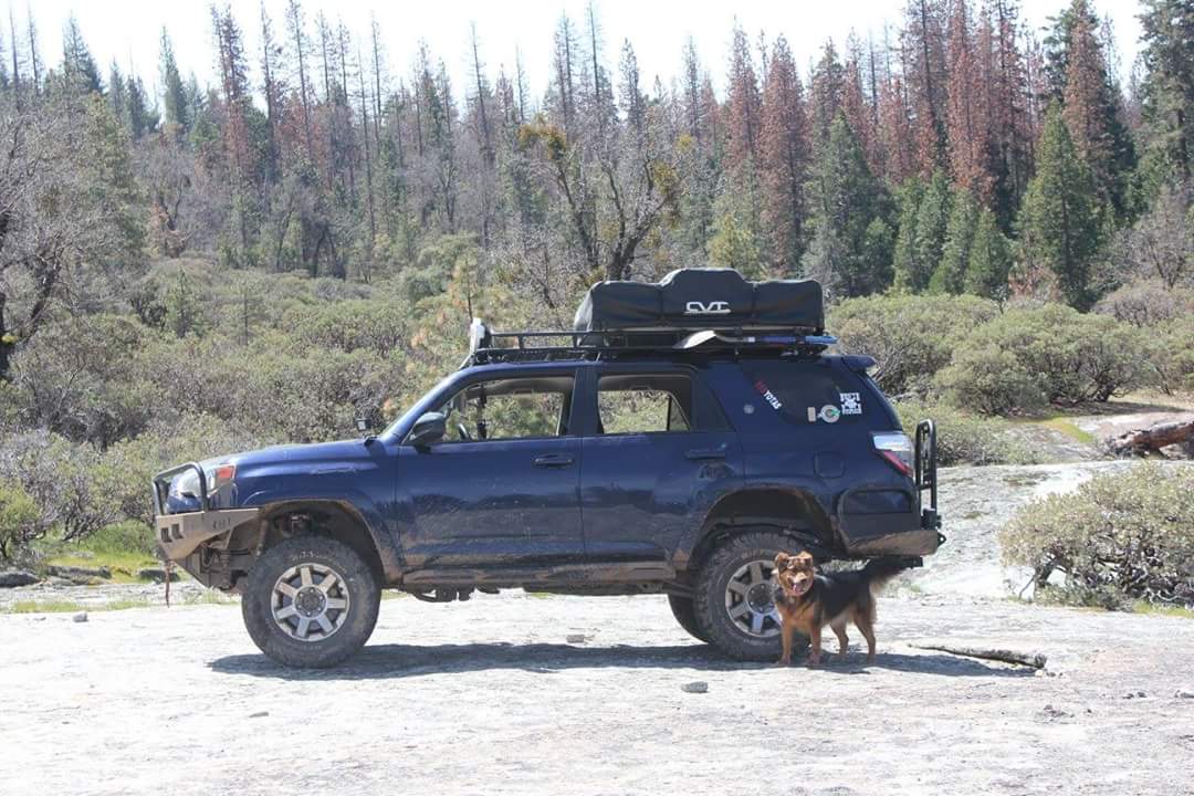 WTB Gobi roof rack or Baja rack-fb_img_1518999225093-jpg