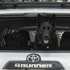 CatskillsRunner's Avatar