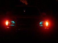 new bulbs (small).jpg
