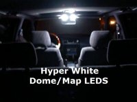 new bulbs (3).jpg
