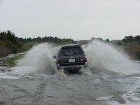 96pic3.jpg