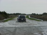 96pic4.jpg