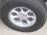 100_0550small.jpg