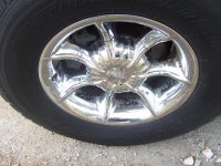 100_0560small.jpg
