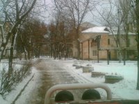 image(170).jpg