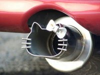 catback.jpg