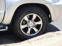 painted rims1.jpg
