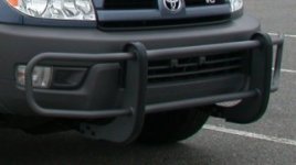 p-2788_grille%20guard.jpg