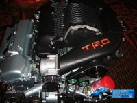 trd.jpg