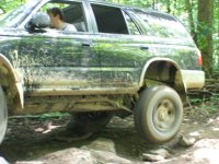 flex pic.jpg