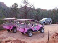 pink.jpg