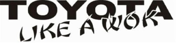 toyo (small).jpg