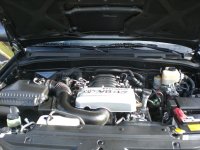 small3514.jpg