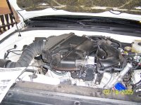 naked stock.jpg