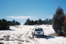 504274-r1-05-17a.jpg