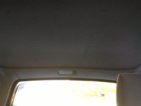 IMG_0731.jpg
