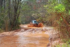 DSC_0337.jpg