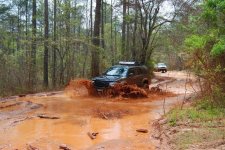 DSC_0342.jpg