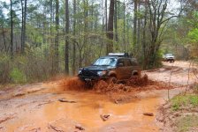 DSC_0343.jpg
