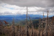 image5.jpg