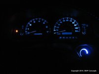IMG_5928.JPG