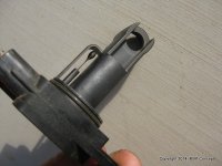 IMG_5921.JPG