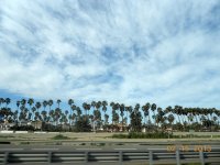 DSCN1035.jpg