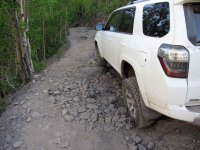 11-MineralCreek-IMG_9540a.jpg