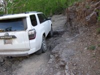 12-MineralCreek-IMG_9541a.jpg