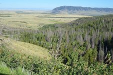 Medicine Bow7.jpg Medicine Bow7.jpg