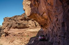 WarthogUnderOverhang.jpg WarthogUnderOverhang.jpg