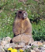 IMG_9719a.jpg