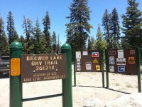 Brewer 41.jpg