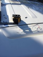 IMG_3630.jpg