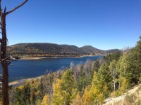 IMG_1661.jpg