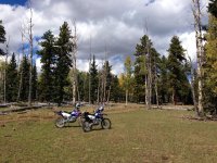 IMG_2930.jpg