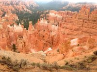 IMG_2950.jpg