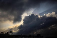 Africa-2.jpg