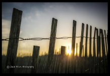 morningwalk copy.jpg