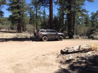 IMG_3238.jpg